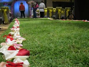 室內原生態草坪婚禮