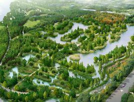 生態工程 生態工程