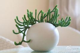 綠塔[蘆筍的優質品種]