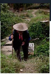 一老一少一隻雞 一老一少一隻雞