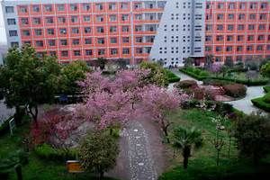 固始永和實驗國小 固始永和實驗國小