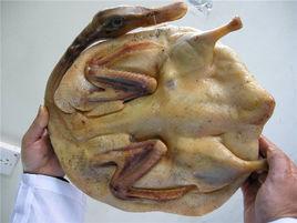 建昌板鴨 建昌板鴨