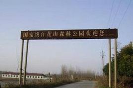 老河口百花山森林公園 老河口百花山森林公園