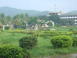 樂光農場 樂光農場