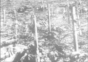 馮·法爾肯海因