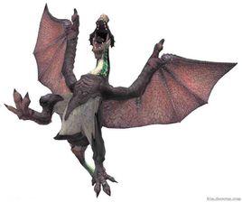 紫毒怪鳥 紫毒怪鳥