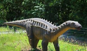 安徽壽縣侏羅紀恐龍園 安徽壽縣侏羅紀恐龍園