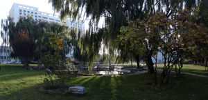 北京首航藍天學院 北京首航藍天學院