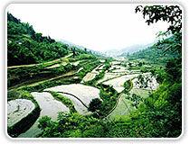 合興村[黑龍江省克山縣西聯鄉合興村]