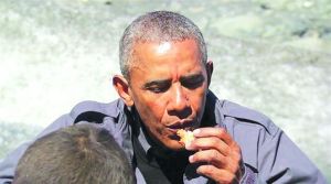 歐巴馬吃生鮭魚