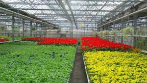 北方現代都市農業示範園 北方現代都市農業示範園