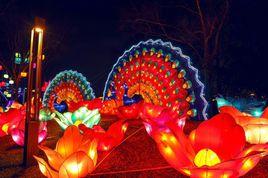 2016上海世博公園元宵燈會 2016上海世博公園元宵燈會