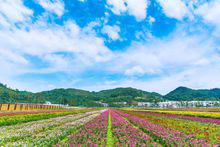 山里江南[貴州省安順市旅遊風景區]