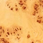 外陰乳頭瘤 外陰乳頭瘤