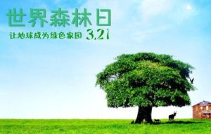 國際森林日