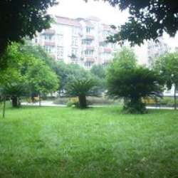 龍泉濱河花園 龍泉濱河花園