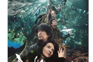 視覺[2018年河瀨直美執導電影]