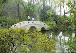 十堰市四方山植物園 十堰市四方山植物園