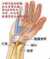 頸肩腕綜合徵 頸肩腕綜合徵