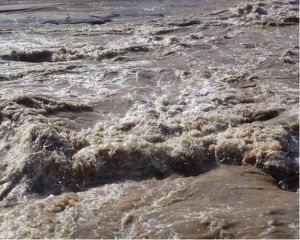 天橋急流 天橋急流
