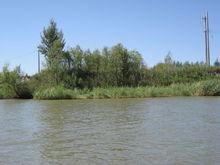 吉林查乾湖國家級自然保護區