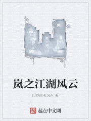 嵐之江湖風雲 嵐之江湖風雲