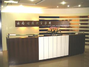雲南銘鼎集團 雲南銘鼎集團