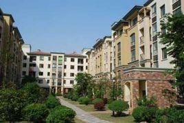 西西里二期 西西里二期