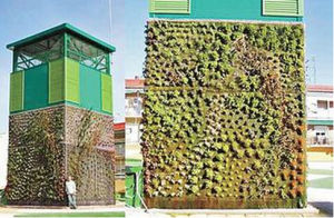 垂直立方體花園 垂直立方體花園