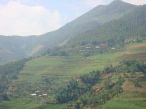 塔枝樹自然村 塔枝樹自然村