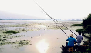 十澗湖國家城市濕地公園