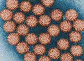 胸膈間燒灼嘈雜感 胸膈間燒灼嘈雜感