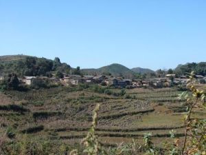 老莊科自然村 老莊科自然村