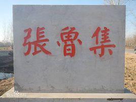 張魯集鎮 張魯集鎮