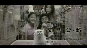 八里公路 八里公路