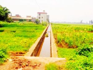 大白祥村 大白祥村