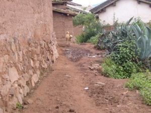 新聯中村 新聯中村