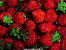 紅色食物——草莓