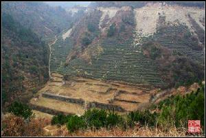 武當山西神道 武當山西神道