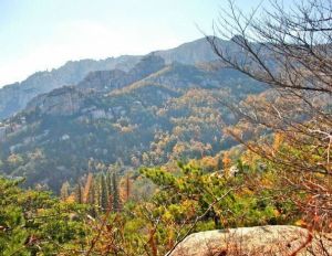 蜜蜂澗村 蜜蜂澗村