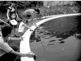 奶瓶餵魚 奶瓶餵魚