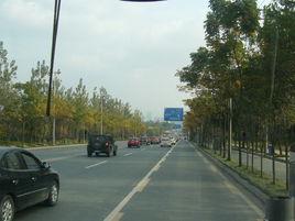 成龍大道 成龍大道