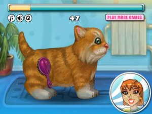 乖巧小貓咪 乖巧小貓咪