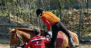 東方馬匯馬術俱樂部 東方馬匯馬術俱樂部