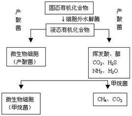 廢水生物處理法 廢水生物處理法