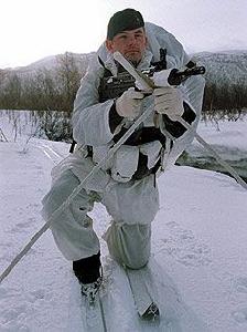 英國皇家海軍艦隊