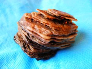 新疆奇石 新疆奇石