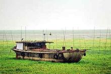 一艘大漁船擱淺在鄱陽湖湖底草坪上