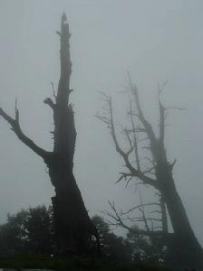 （圖）攝影者：陳欣怡