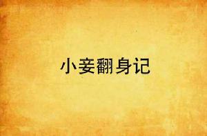 小妾翻身記 小妾翻身記